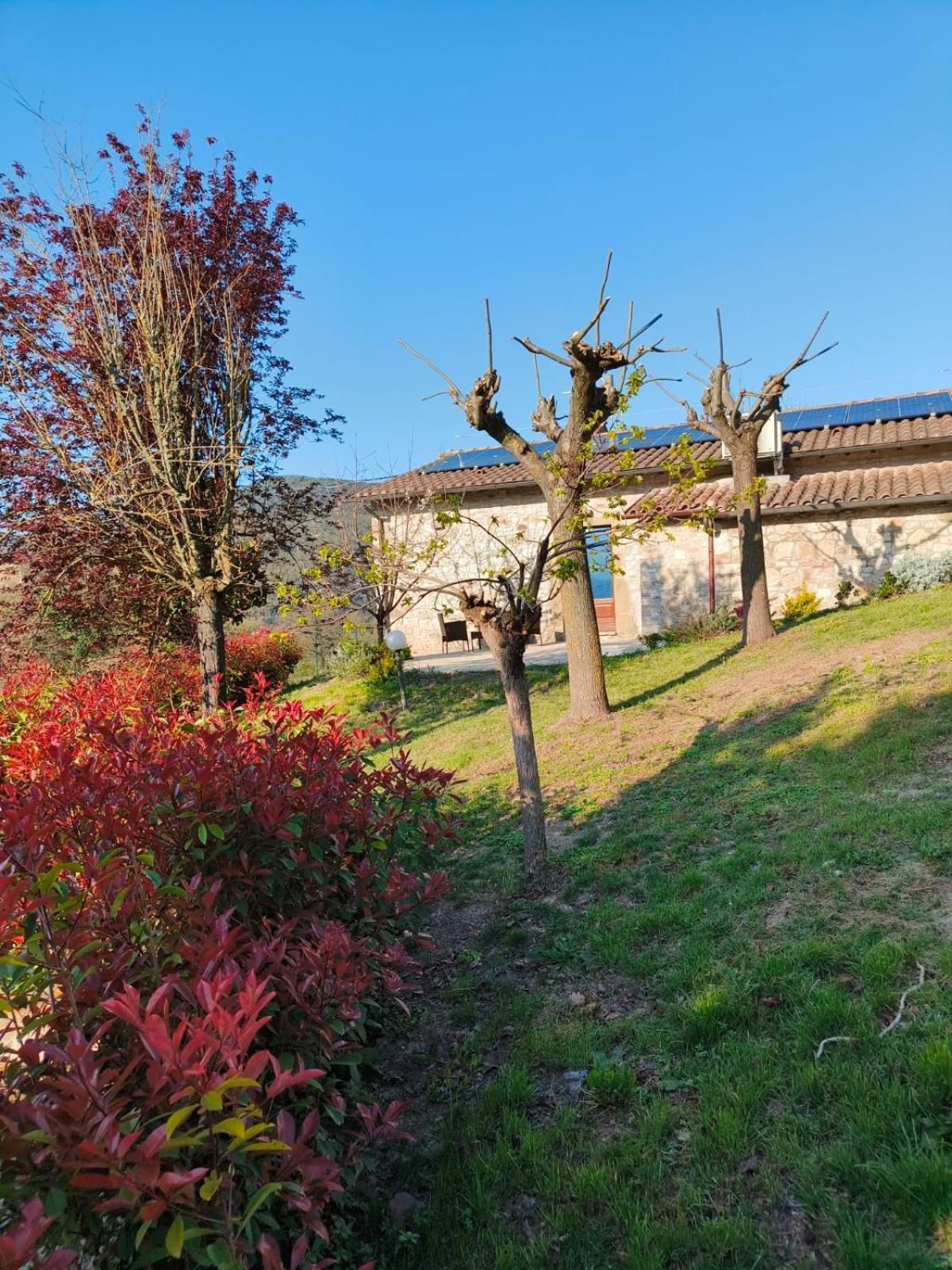 La Bottega Di Torreluca * Todi
